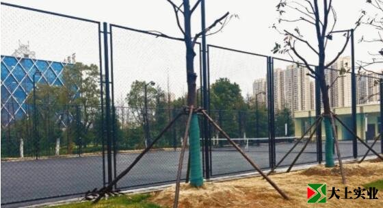 烽勝公園西側(cè)唯一的體育場地，室外網(wǎng)球場